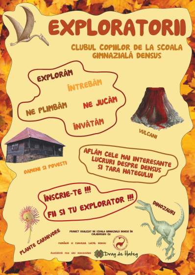 exemplu afis exploratorii